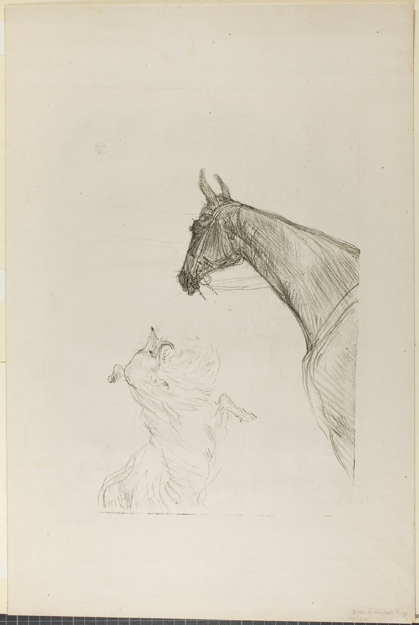 Caballo y Collie de Henri de Toulouse-Lautrec