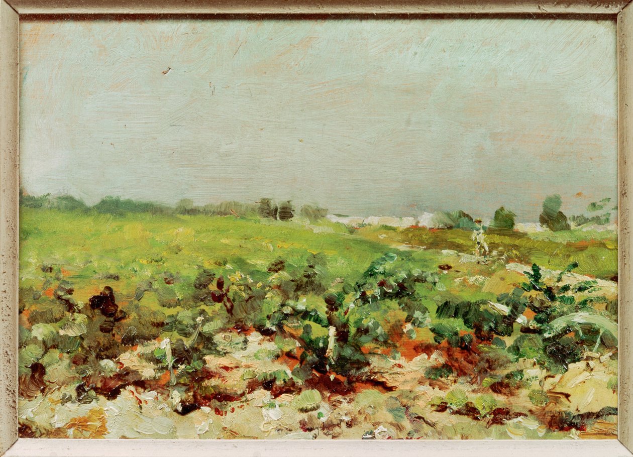Vista de los viñedos de Henri de Toulouse-Lautrec