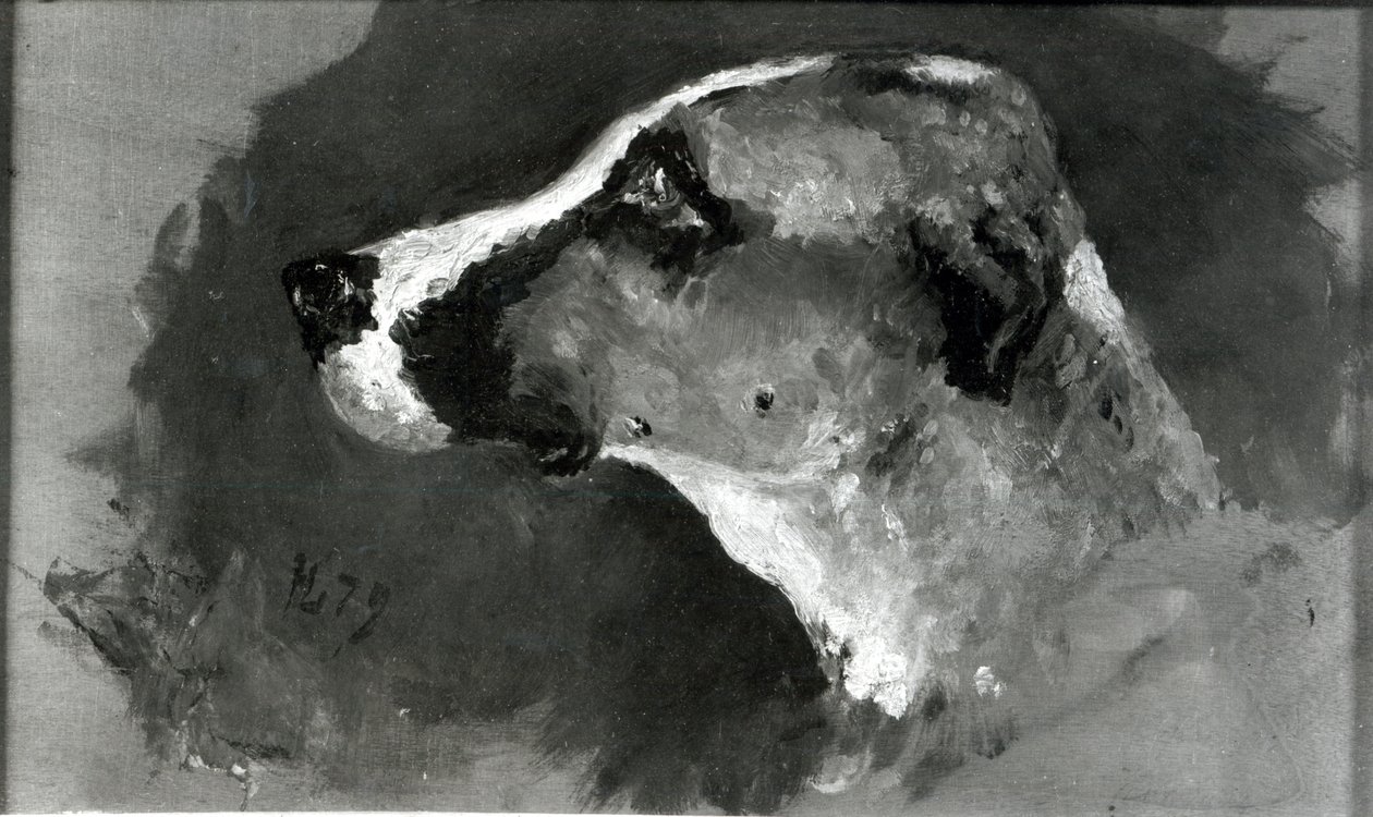 Cabeza de un perro con orejas cortas, 1879 de Henri de Toulouse Lautrec