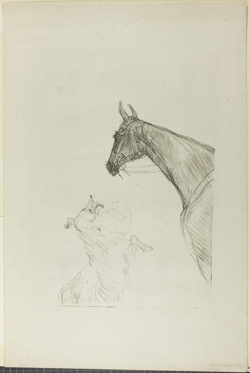 Caballo y Collie de Henri de Toulouse Lautrec