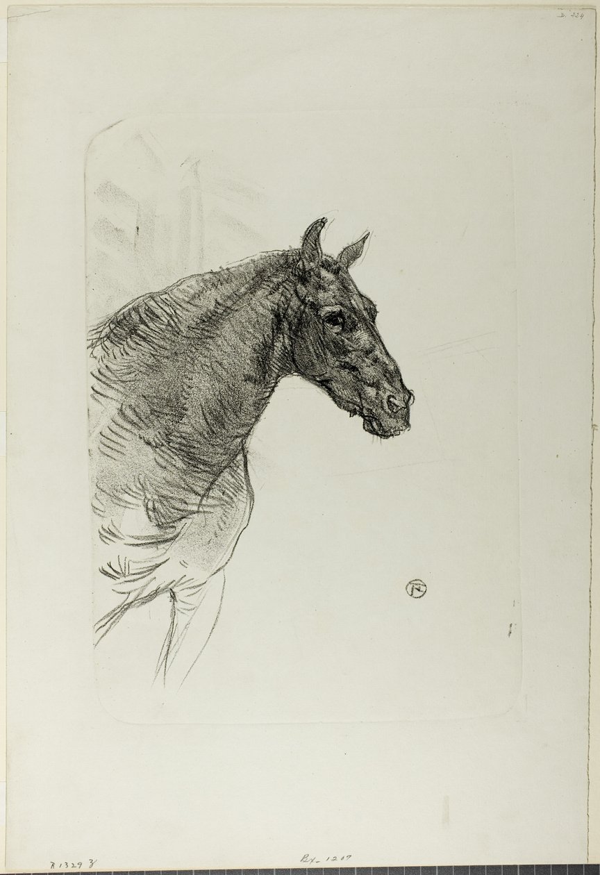 Philibert el pony de Henri de Toulouse Lautrec