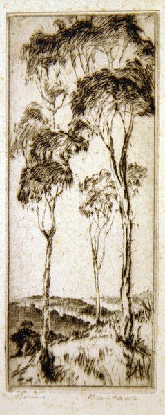 Árboles de goma de Henri van Raalte