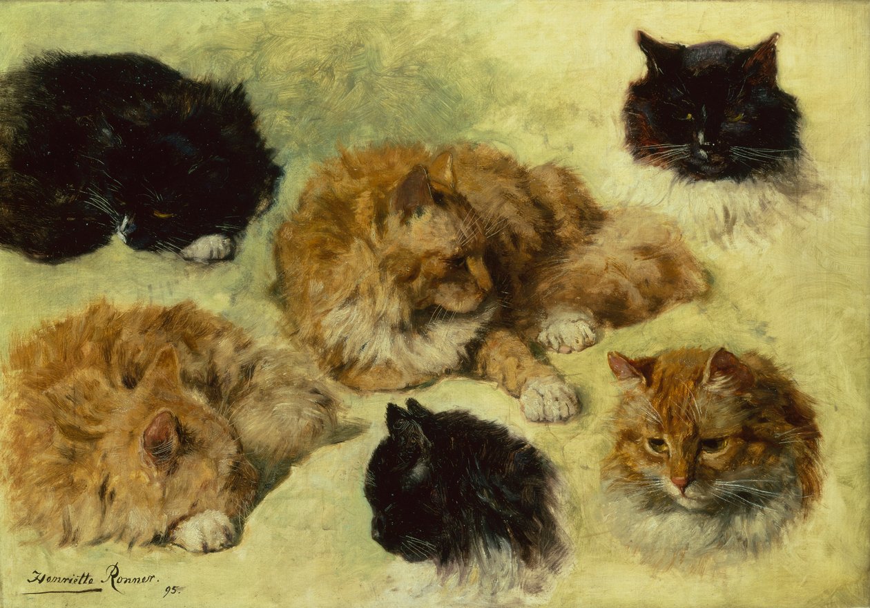 Estudios de gatos de Henriëtte Ronner Knip