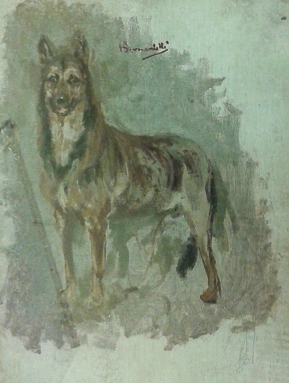 Estudio de un animal [Perro] de Henrique Bernardelli