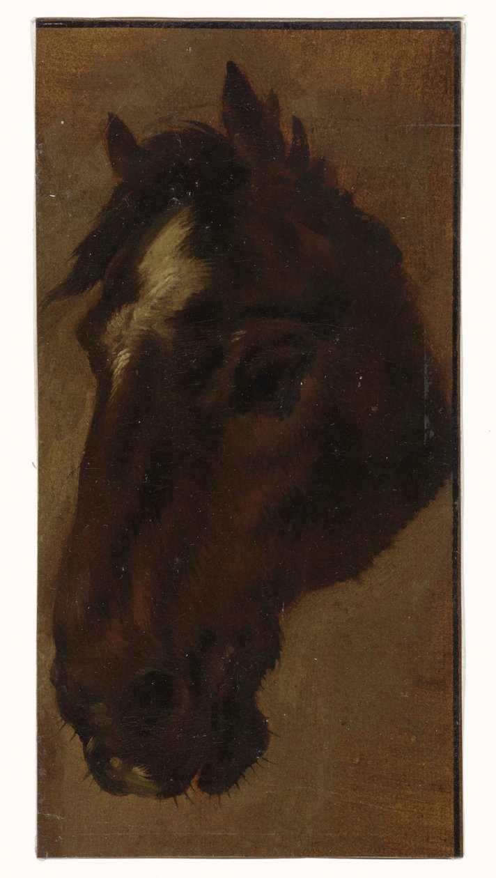 Cabeza de caballo de Henriëtte Ronner