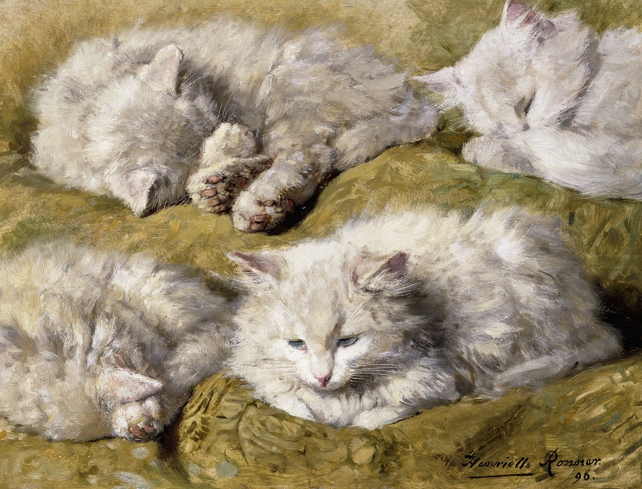 Estudios de un gato blanco de pelo largo, 1896 de Henriëtte Ronner Knip