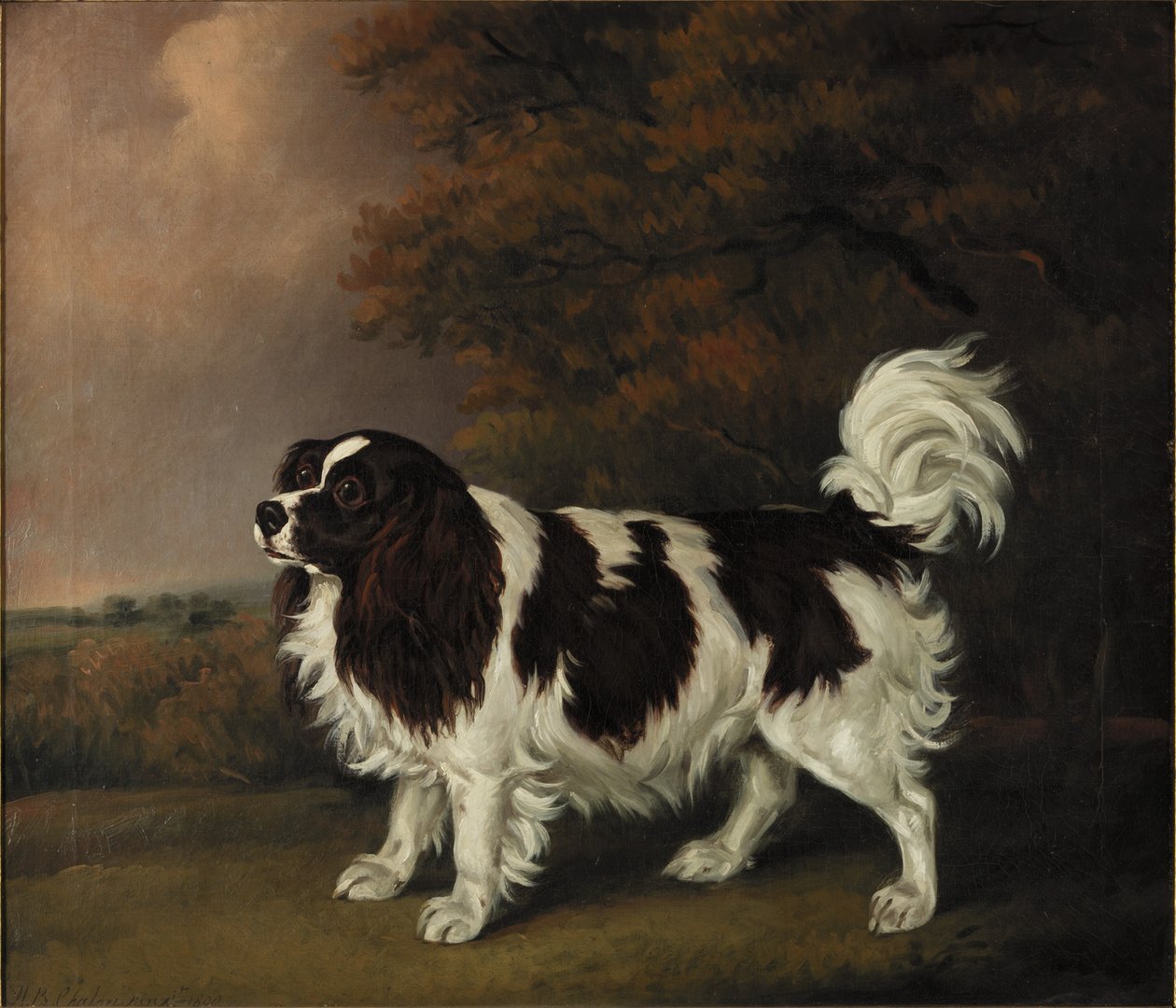Estudio de un Spaniel King Charles de Henry Bernard Chalon