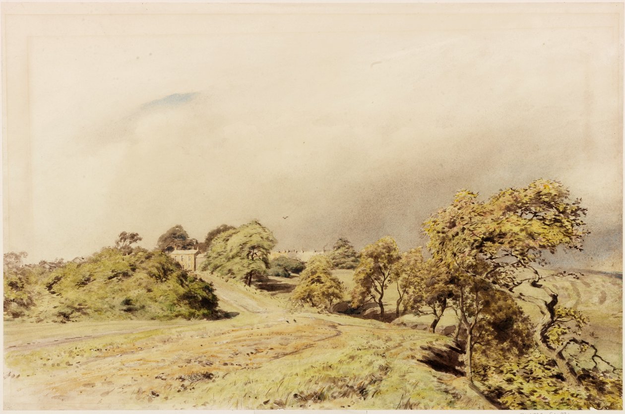 Beaumont de Henry Burdon Richardson