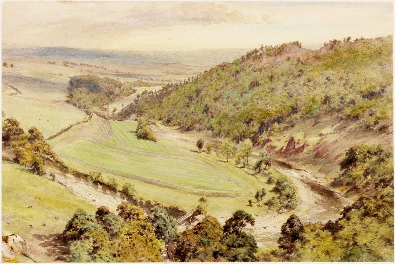 Birdoswald de Henry Burdon Richardson