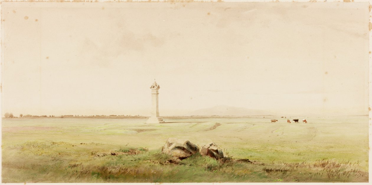 Burgh Marsh de Henry Burdon Richardson