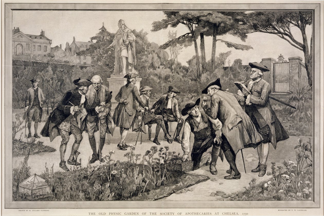 El antiguo jardín físico de la Sociedad de Boticarios en Chelsea, 1750, grabado por Thomas W. Lascelles, 1890 de Henry Gillard Glindoni
