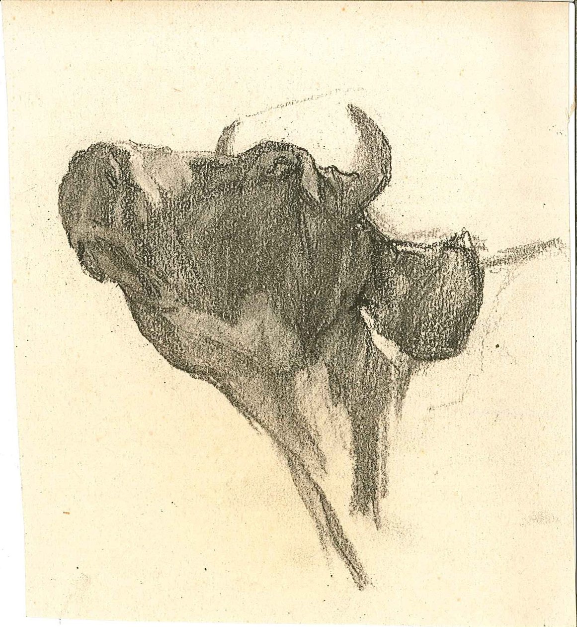 Vaca de Henry Luyten