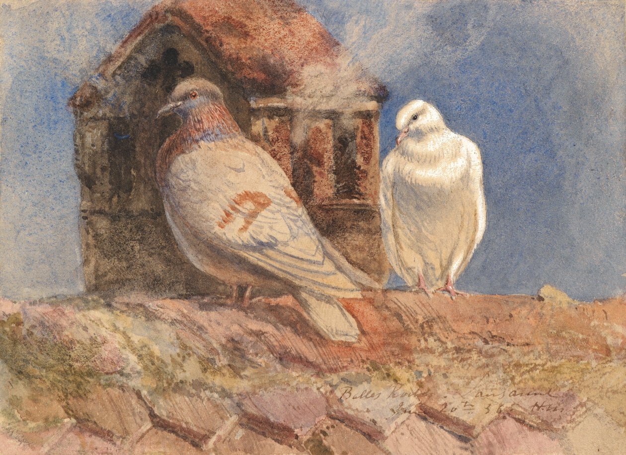 Palomas descansando en un tejado, Belles Roches, Lausana, 1856 de Henry Moore