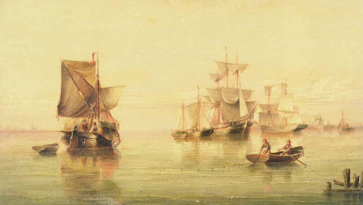 Pinks holandeses de Henry Redmore