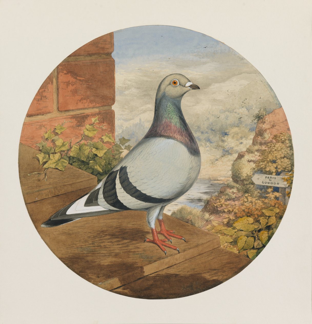 Palomas mensajeras, París a Londres, 1880 de Henry Stephen Ludlow