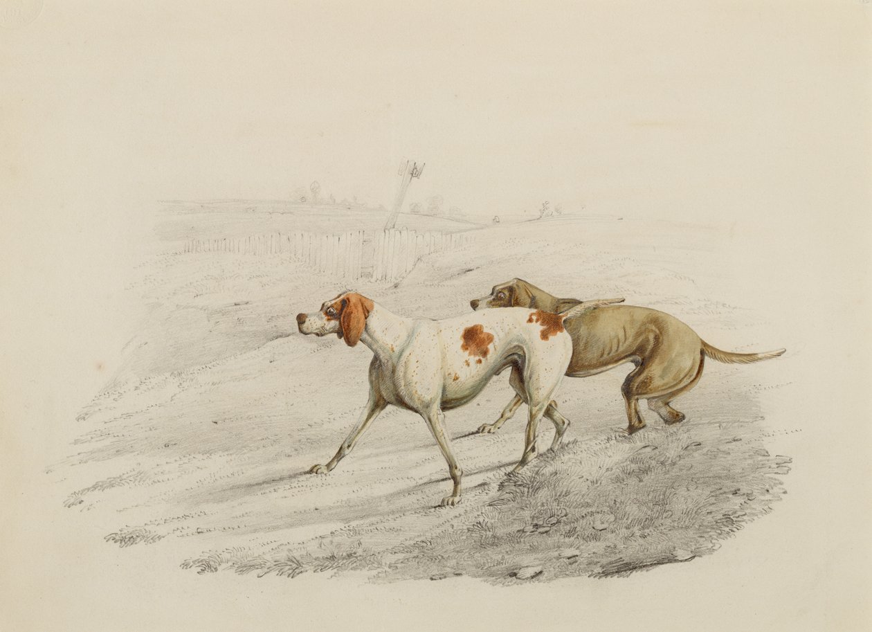 Dos punteros, mirando a la izquierda de Henry Thomas Alken