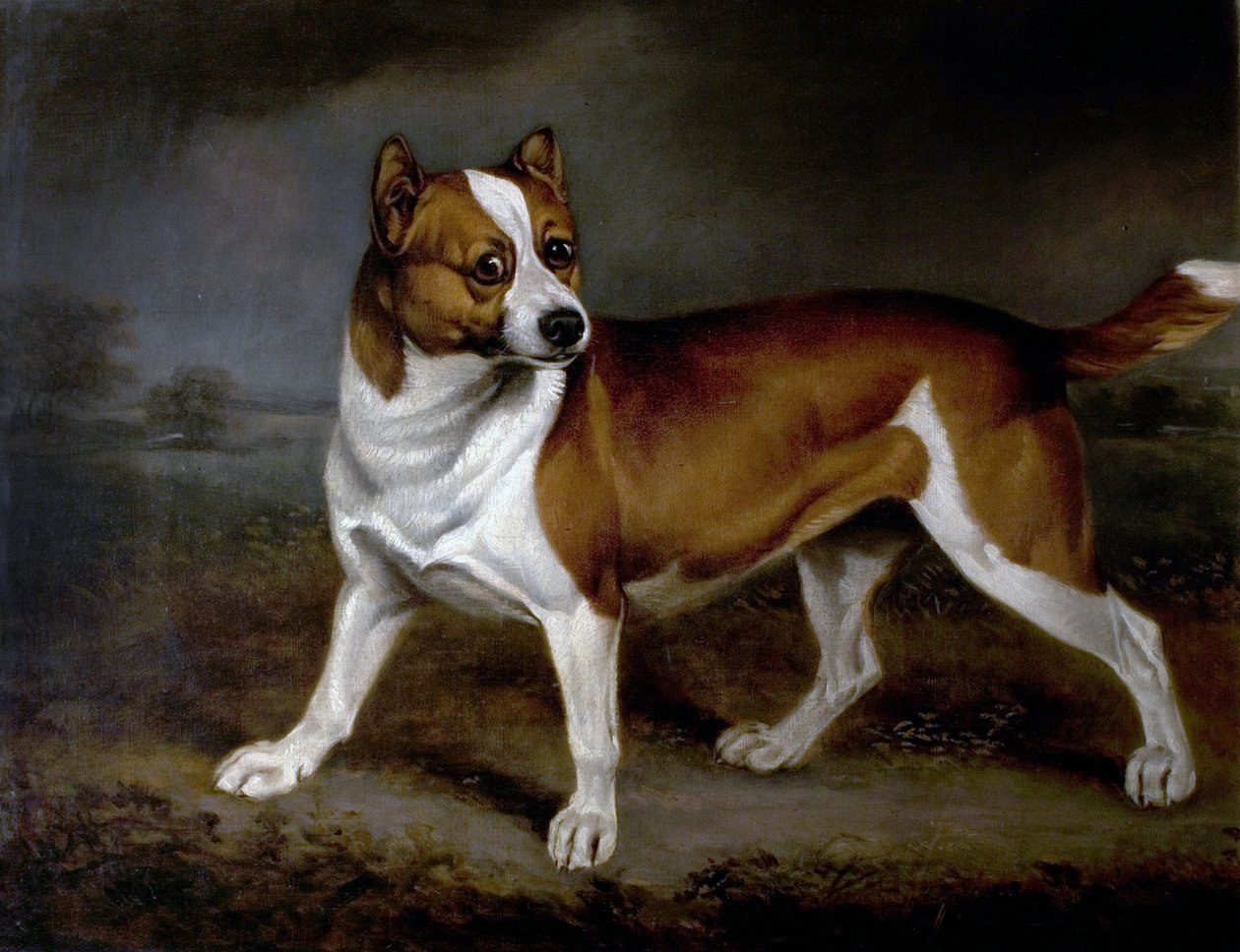 Ortiga de Henry Bernard Chalon