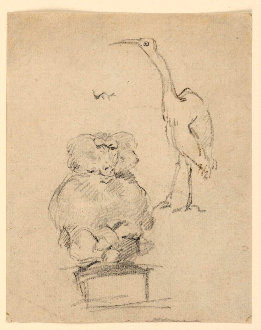 Estudios de una Garza y un Mono de Henry Bernard Chalon