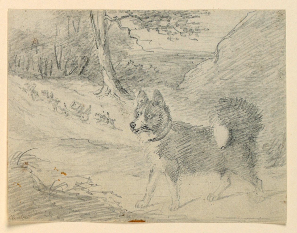 Estudio de un perro alce de Henry Bernard Chalon