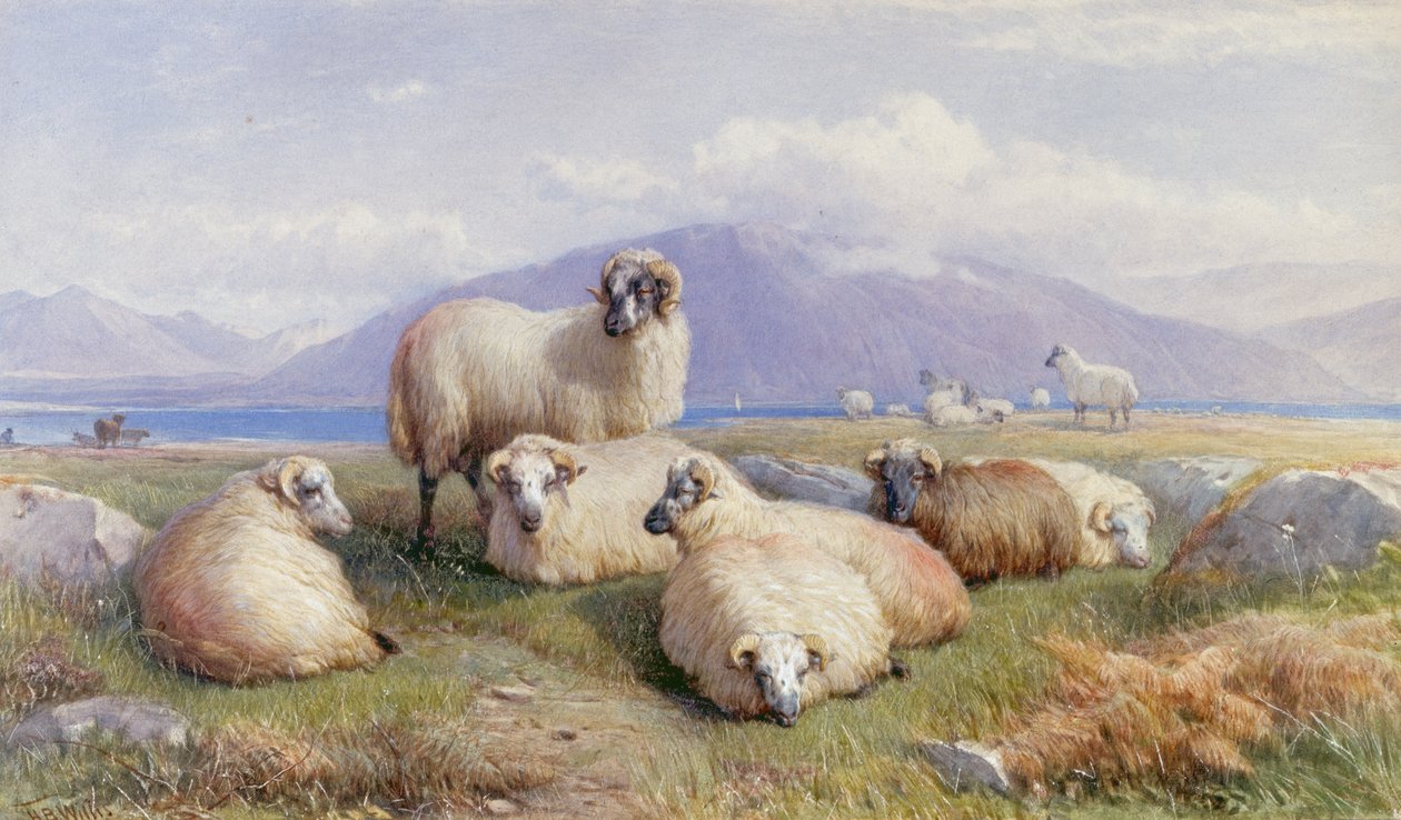 En el corazón de las Tierras Altas de Henry Brittan Willis