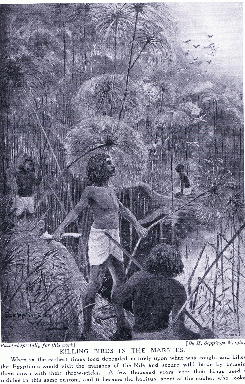 Cazando aves en los pantanos, c.1920 de Henry Charles Seppings Wright