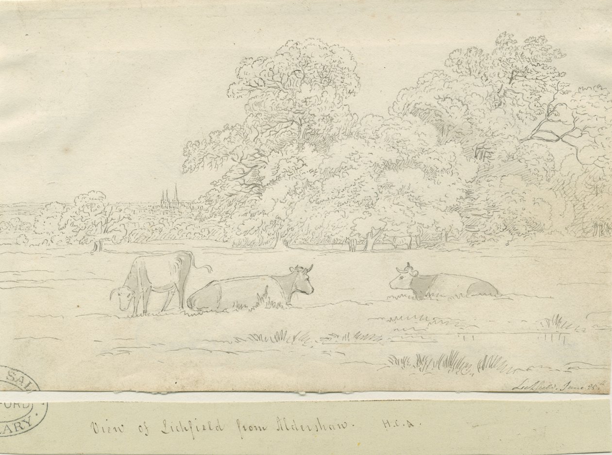 Lichfield - Vista desde Aldershaw de Henry Curzon Allport