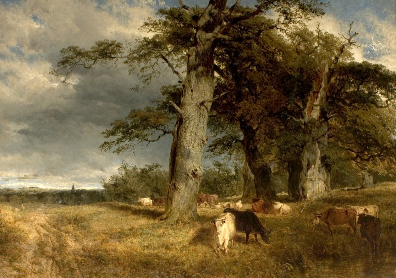 Paisaje en los Dukeries, Nottinghamshire, 1850 de Henry Dawson