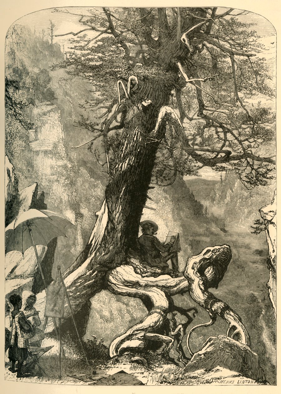 Sobre el Puente Natural de Henry Duff Linton