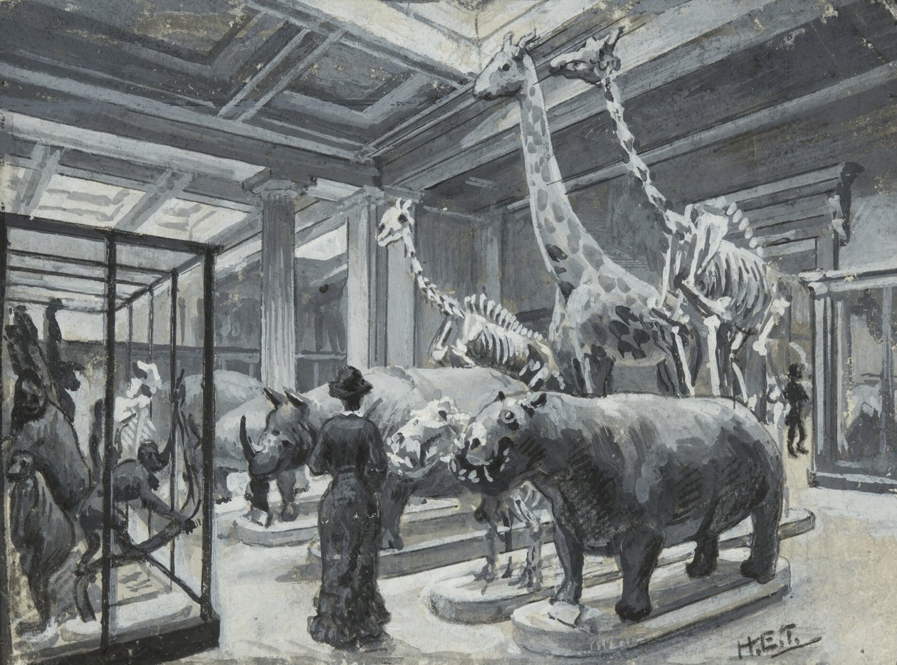 Vista interior del Museo Británico mostrando la galería con exhibiciones de animales, c.1880 de Henry Edward Tidmarsh