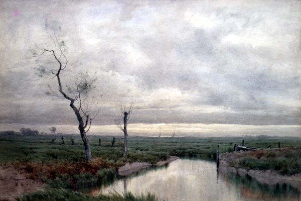 Pantanos costeros de Henry Farrer