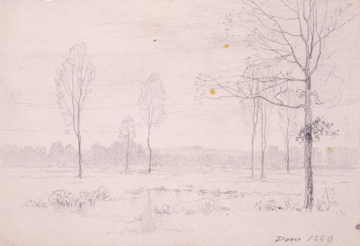 Paisaje de Henry Farrer
