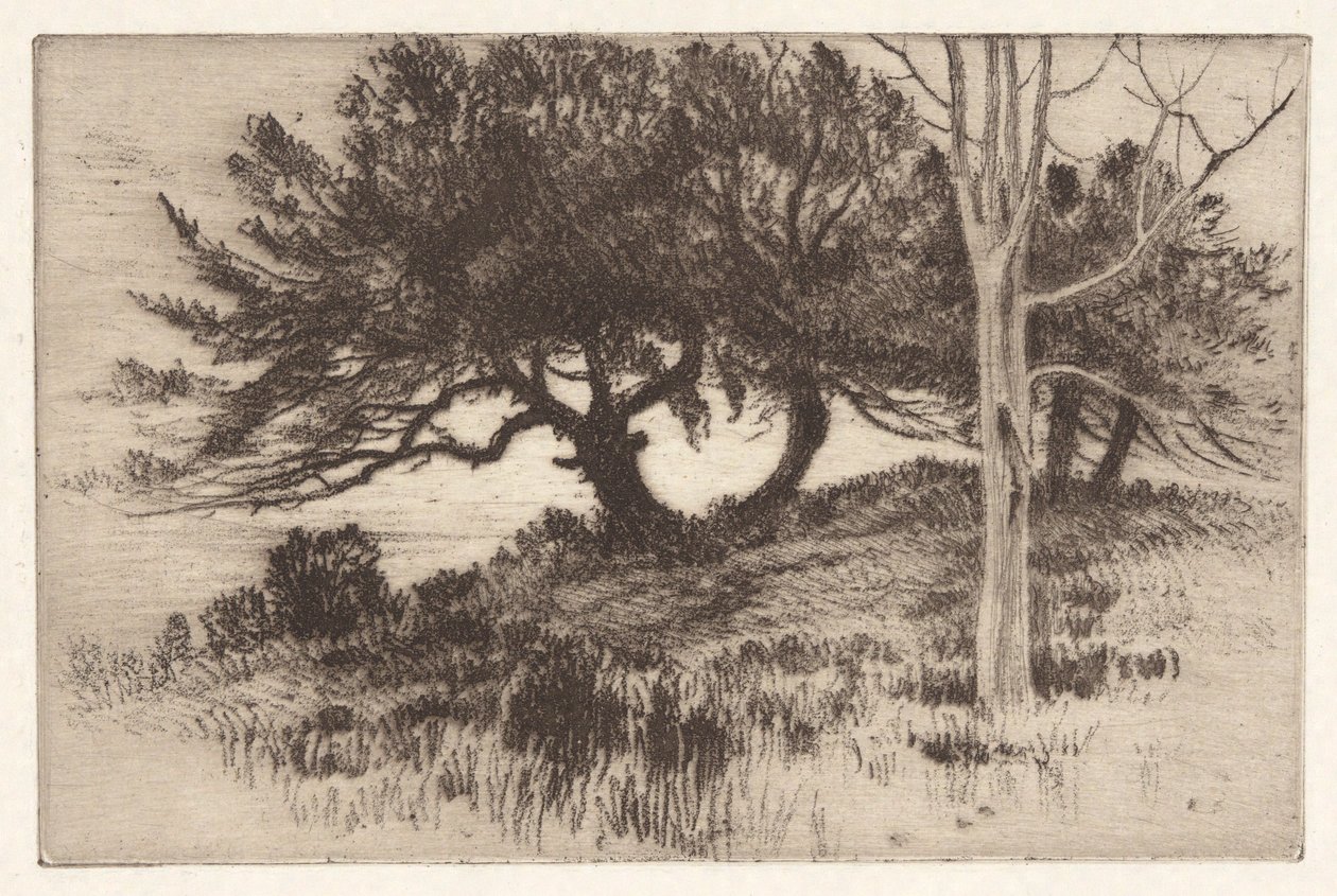 Cerca del mar de Henry Farrer