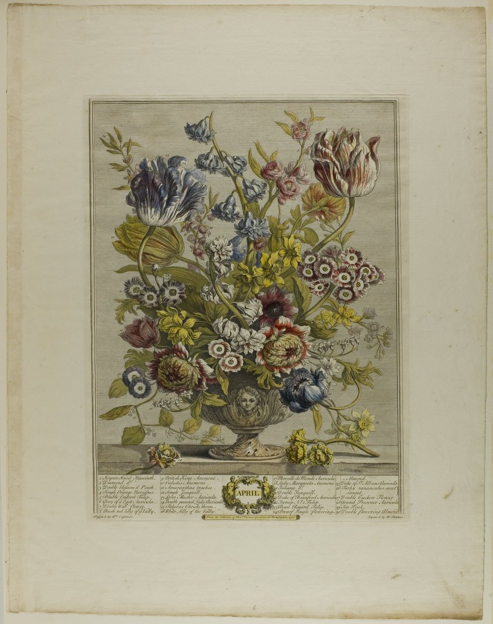 Abril, de Doce Meses de Flores de Henry Fletcher