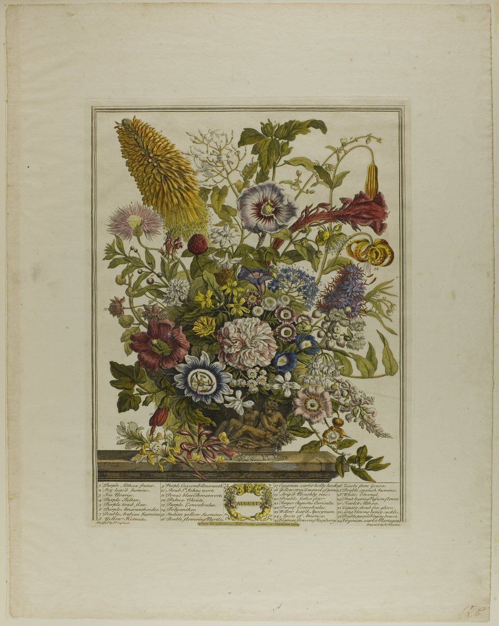 Agosto, de Doce Meses de Flores de Henry Fletcher
