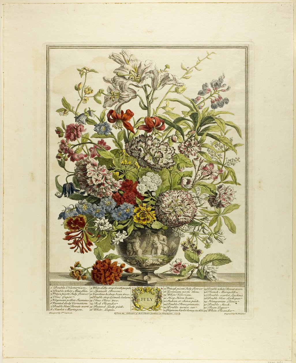 Julio, de Doce meses de flores de Henry Fletcher