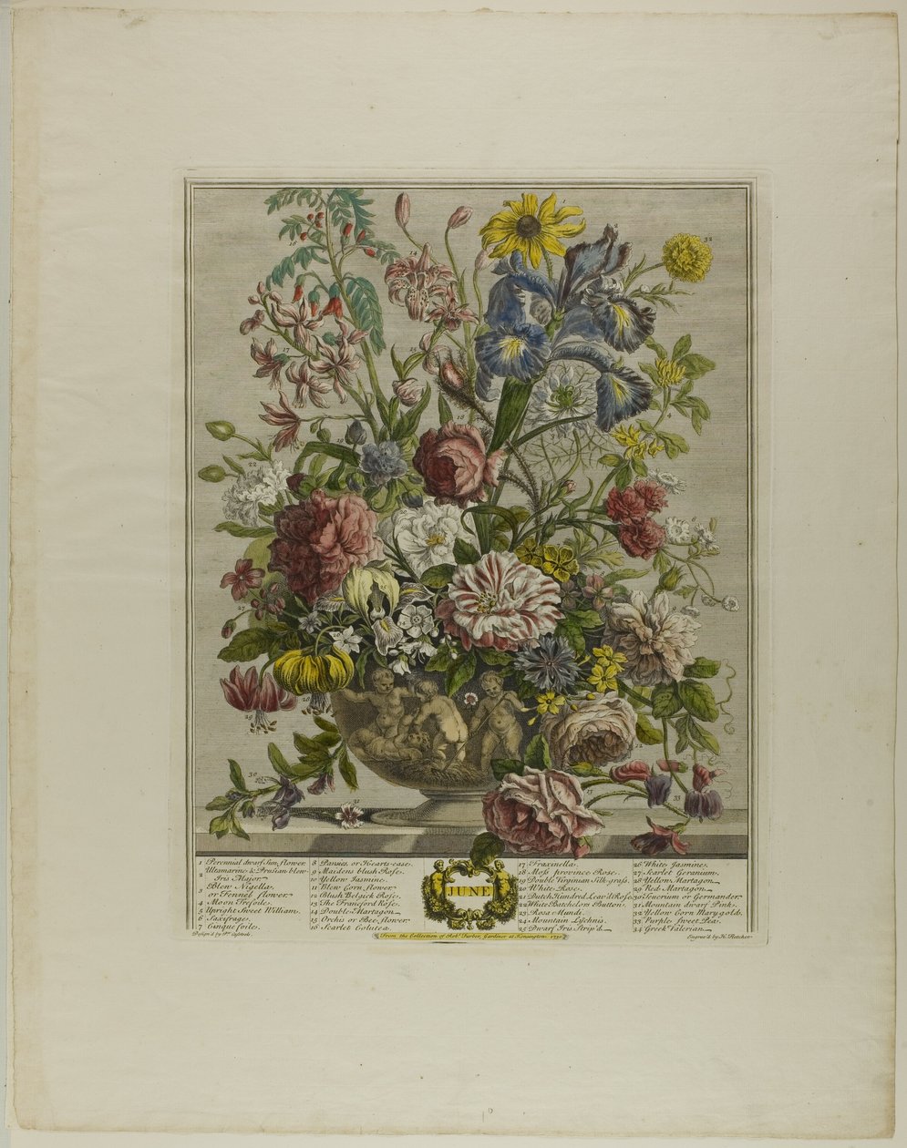 Junio, de los Doce Meses de Flores de Henry Fletcher