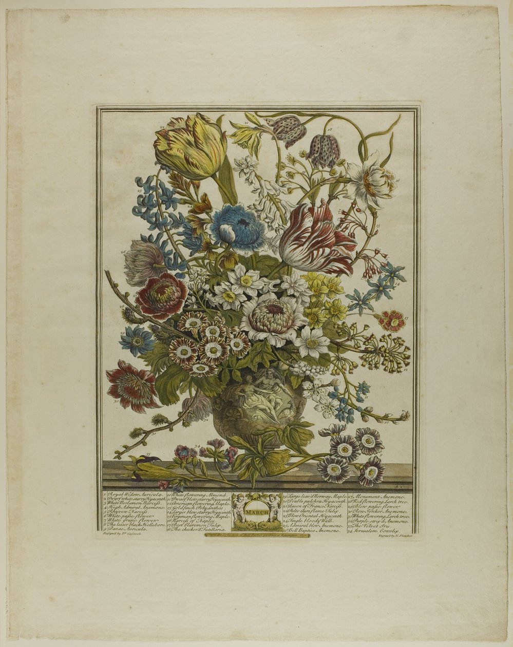 Marzo, de Doce Meses de Flores de Henry Fletcher