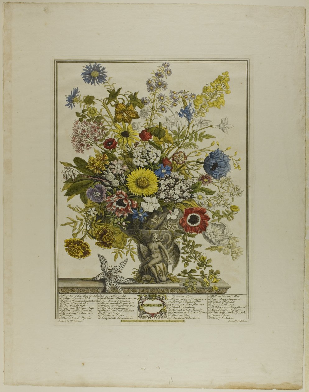 Noviembre, de Doce Meses de Flores de Henry Fletcher