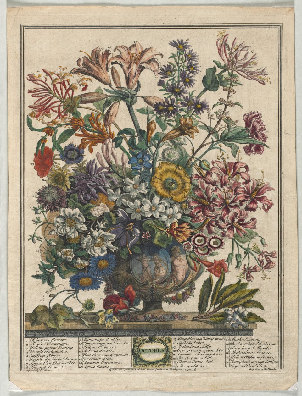 Doce meses de flores: octubre, 1730 de Henry Fletcher