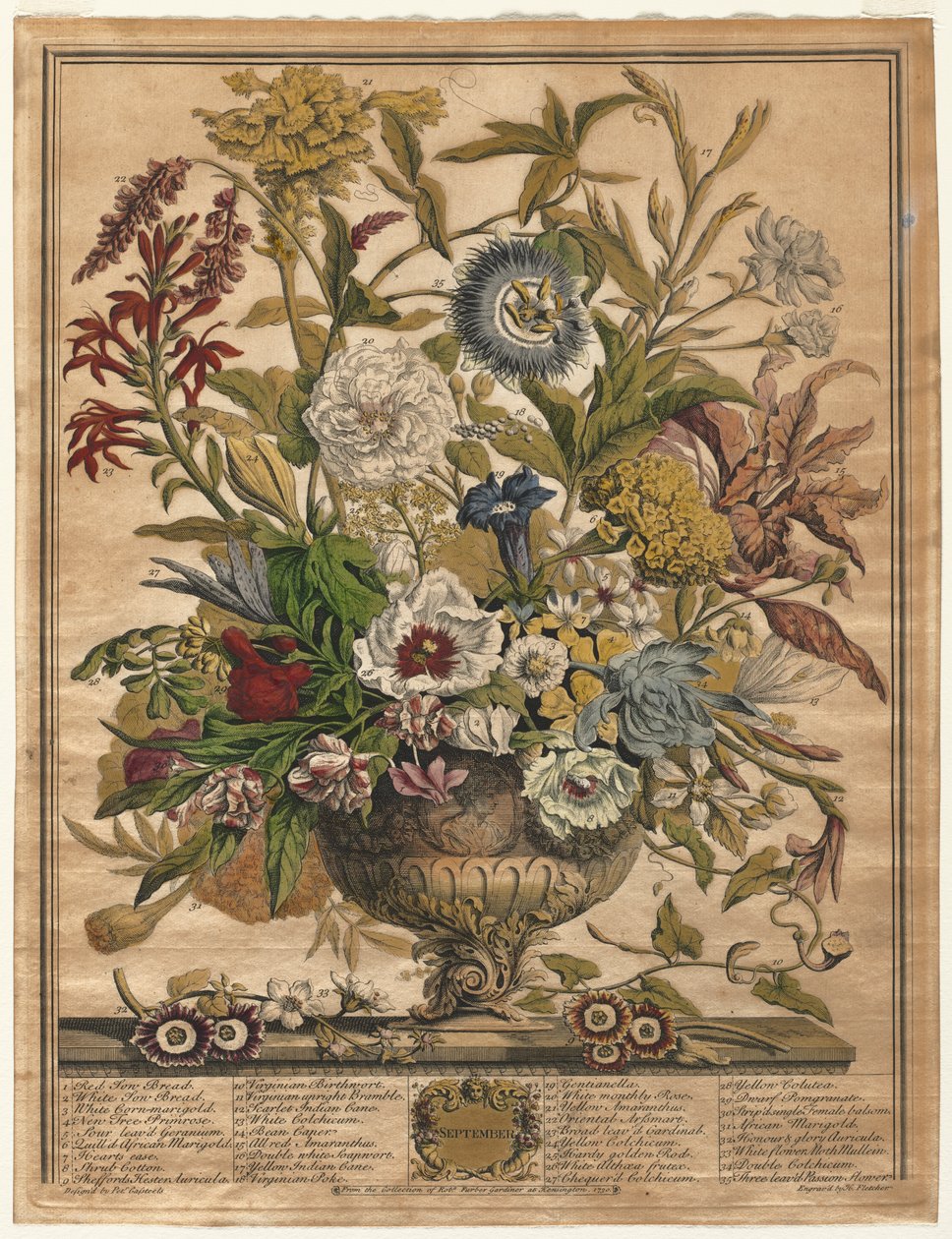 Doce meses de flores: Septiembre de Henry Fletcher