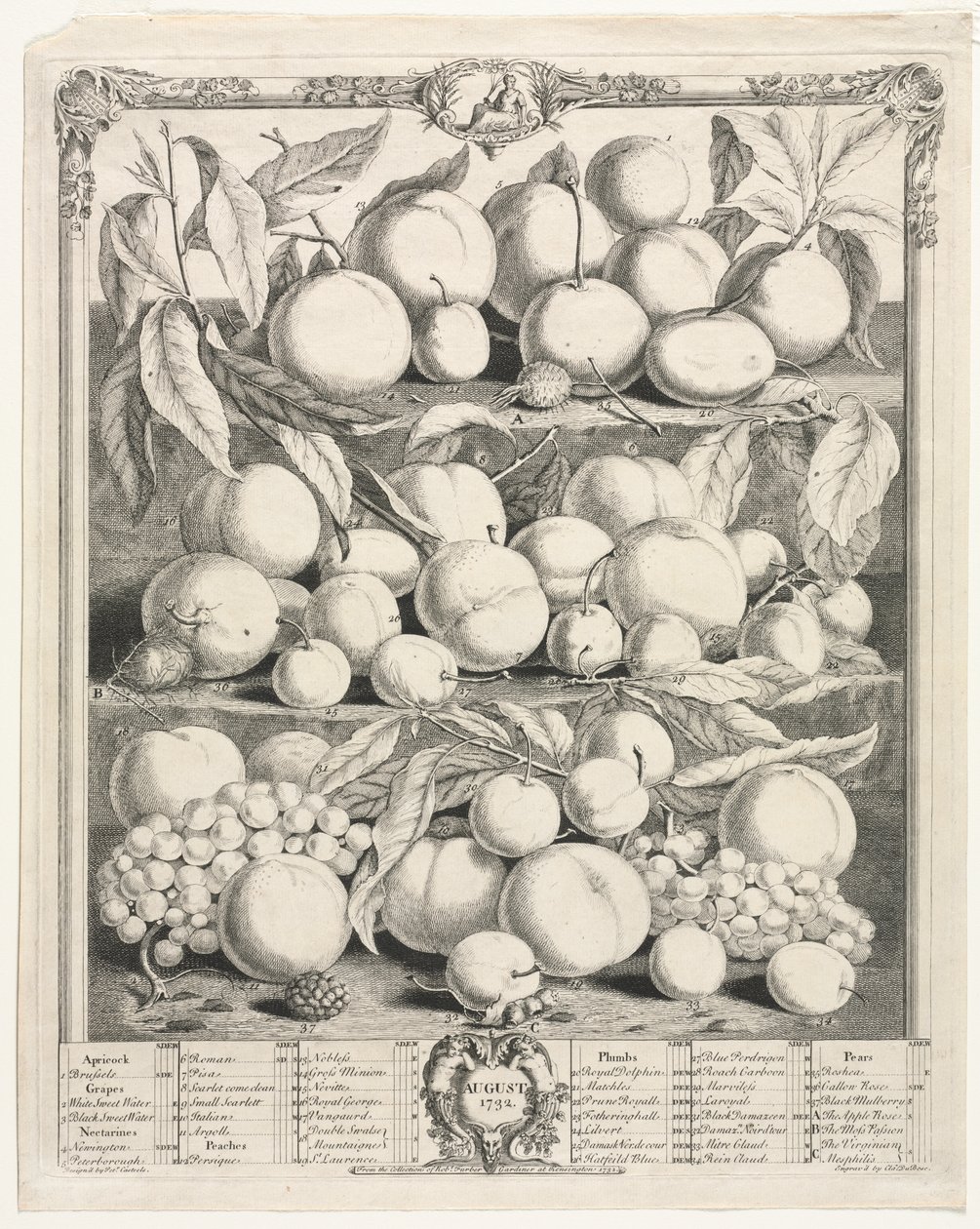 Doce meses de fruta: Agosto de Henry Fletcher