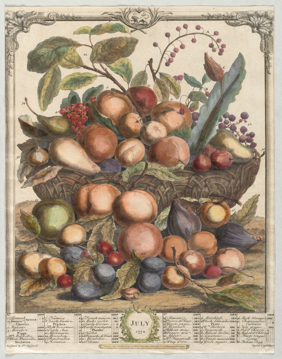 Doce Meses de Fruta: Julio, 1732 de Henry Fletcher