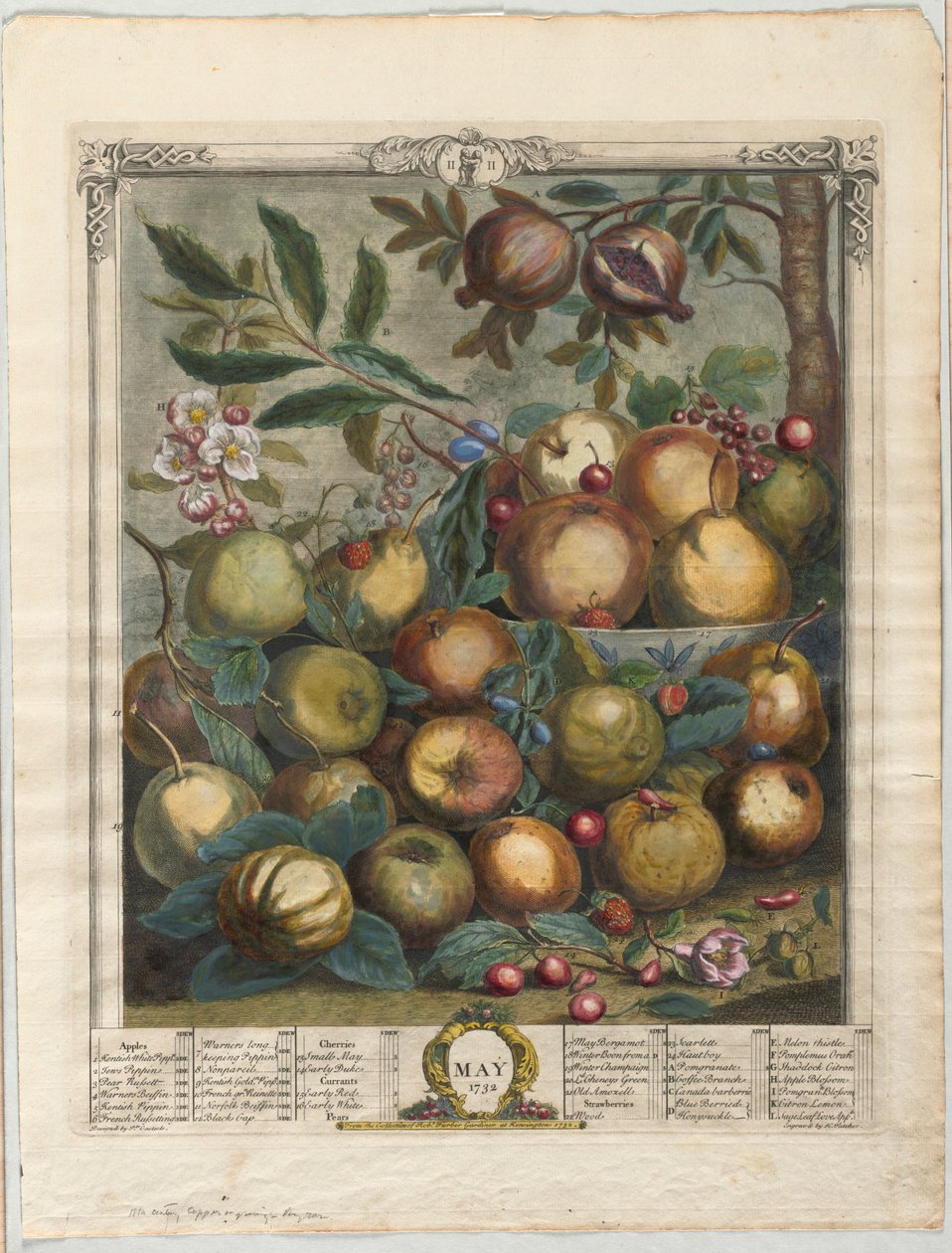 Doce meses de fruta:  Mayo de Henry Fletcher