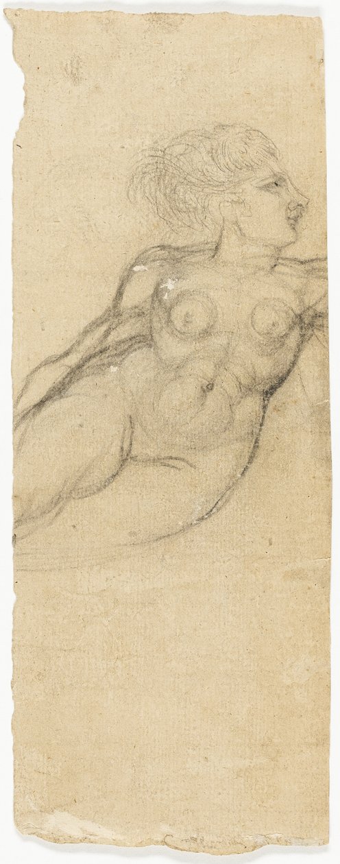 Estudios de desnudos de Henry Fuseli