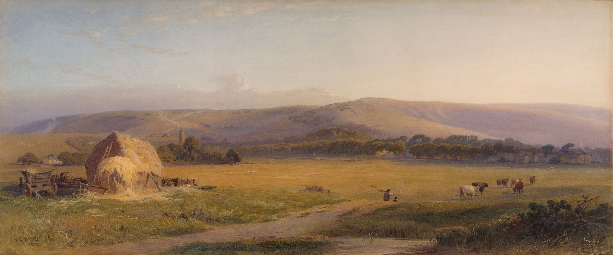 Pastos de South Downs, 1867 de Henry George Hine