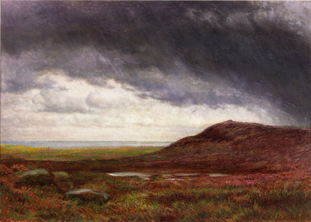 Páramo de Henry Hetherington Emmerson