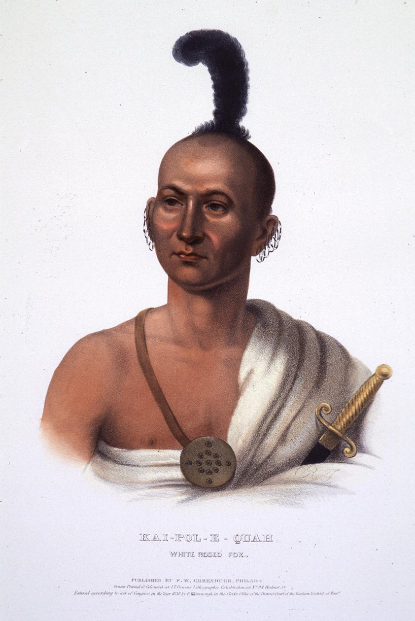 Kai-Pol-E-Quah, Zorro de Nariz Blanca de Henry Inman