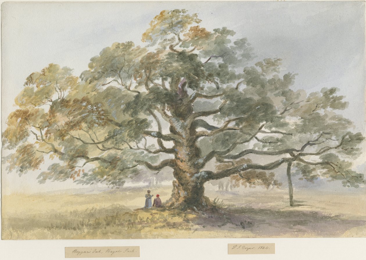 Blithfield - Roble del Mendigo de Henry James Noyes