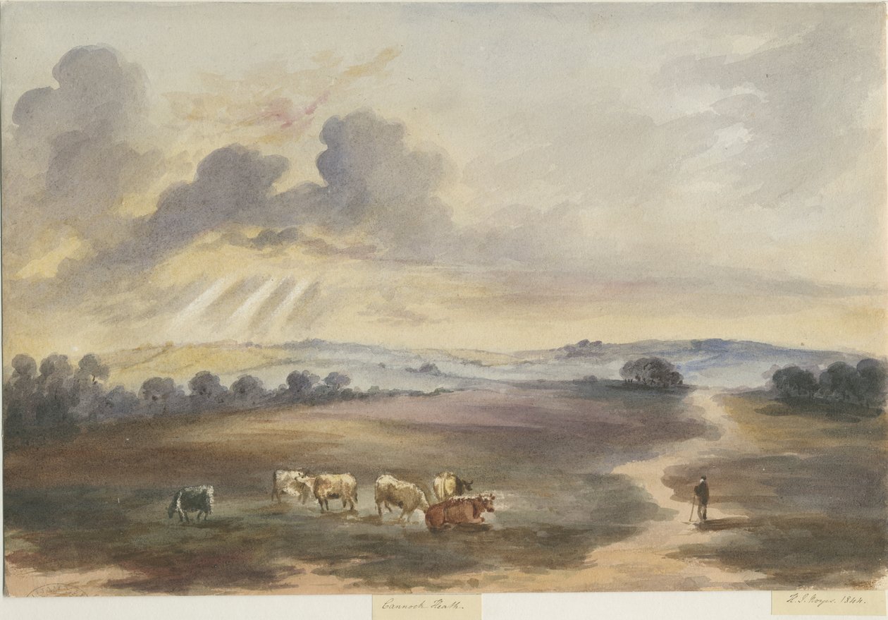 Cannock Chase - "Heath": pintura en acuarela de Henry James Noyes