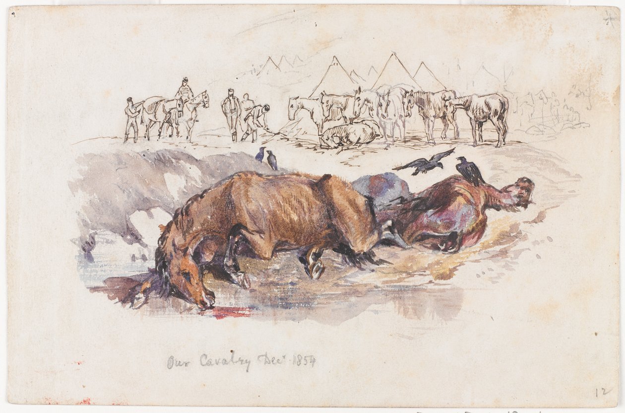 Nuestra caballería, caballos muertos de Henry John Wilkinson